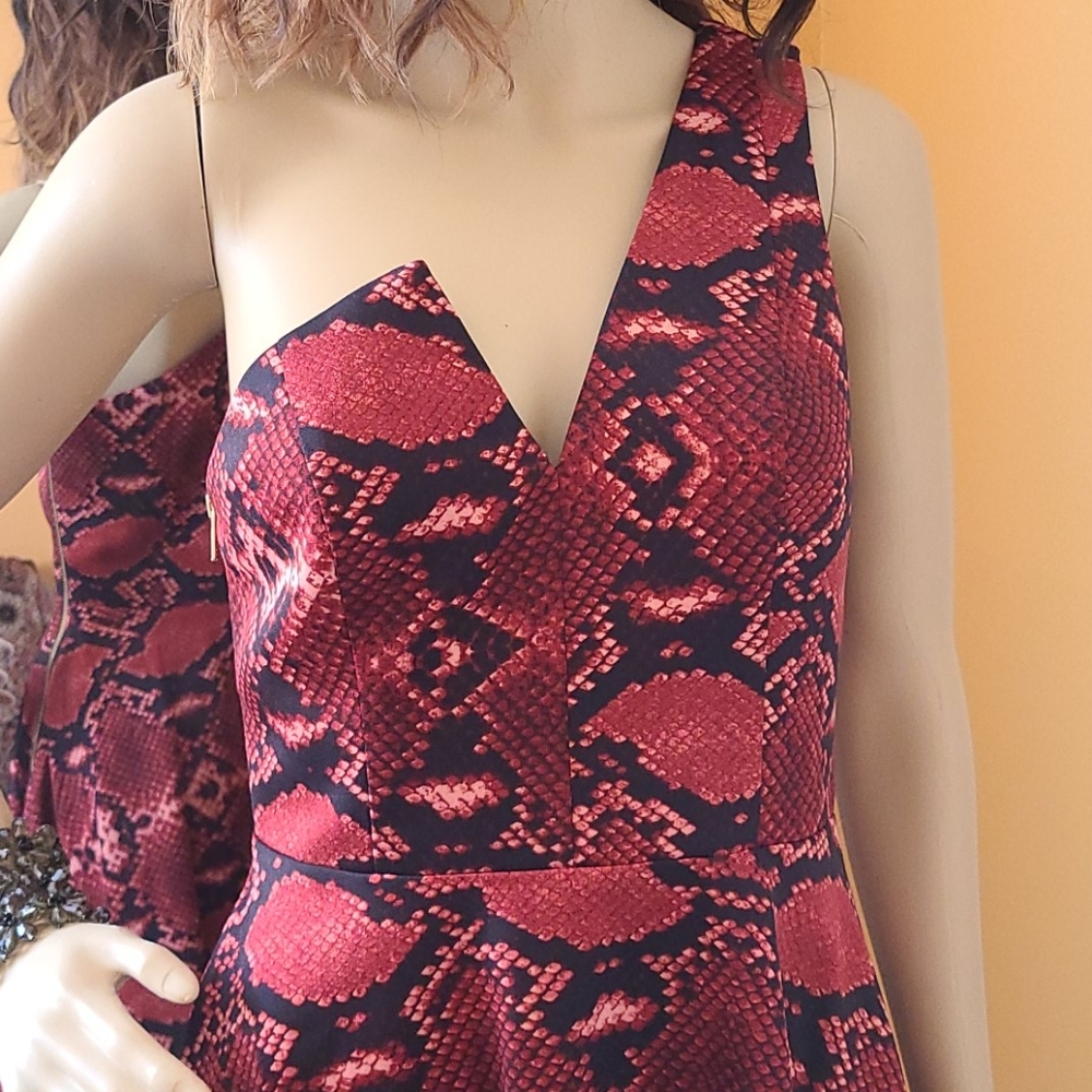 NBD xtheNAVENtwins Dress - Picture 13 of 13